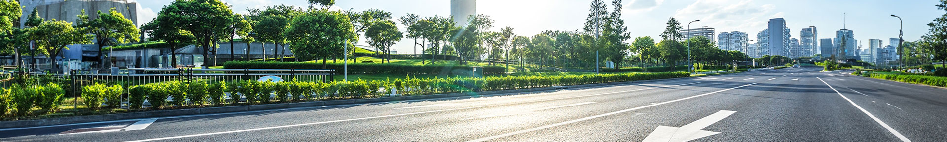 a road with bushes and trees