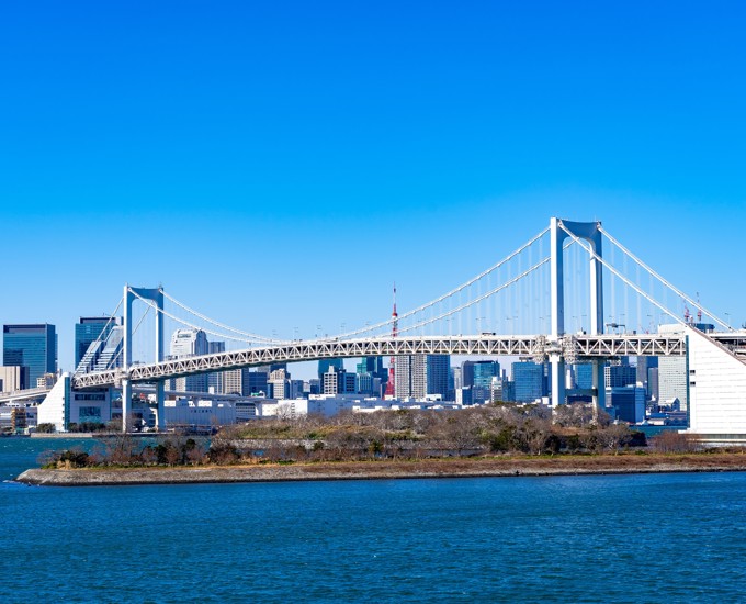 Un puente sobre el agua con una ciudad al fondo