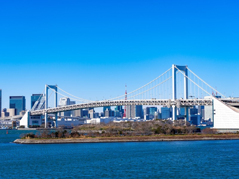Eine Brücke über das Wasser mit einer Stadt im Hintergrund