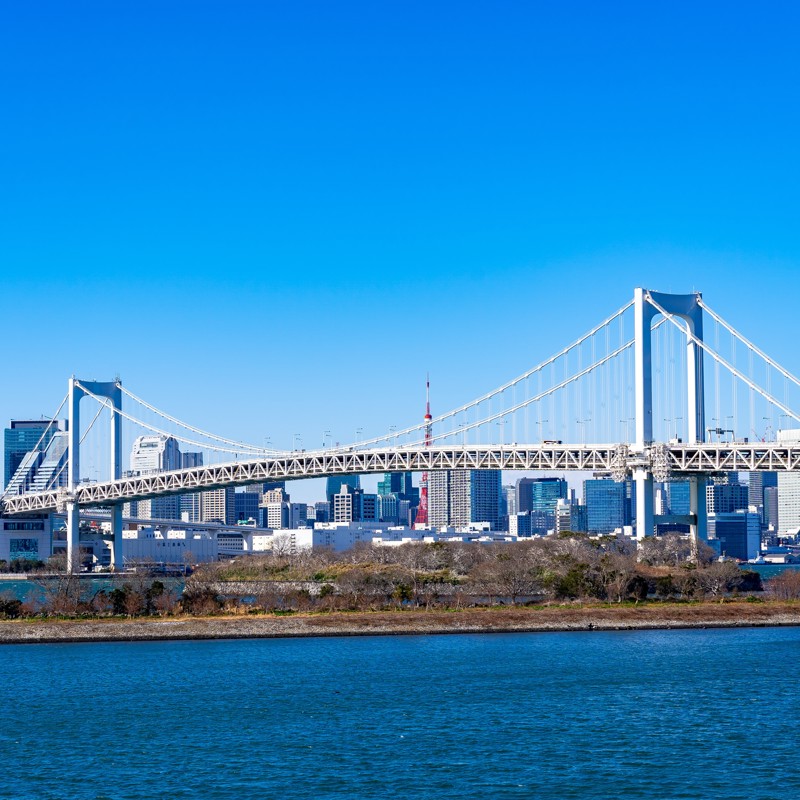 Un puente sobre el agua con una ciudad al fondo